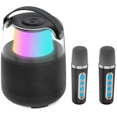 Boxa portabila pentru Karaoke T-908 cu 2 microfoane fara fir
